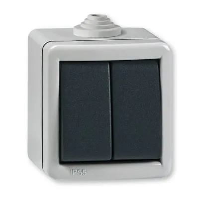 ALING-CONEL Serijski prekidač 10A 250V~ IP55 antracit