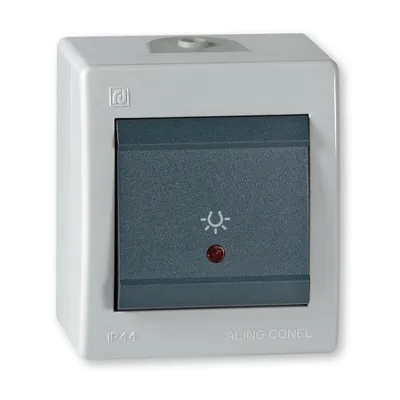 Aling-Conel prekidač za svjetlo s indikacijom 10A 250V~ IP44, antracit