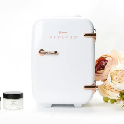 STYLPRO Beauty frižider za čuvanje kozmetičkih proizvoda