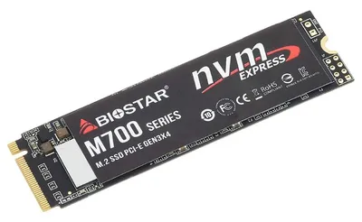 BIOSTAR SSD M.2 NVME 256GB 3200MBs/1300MBs M760