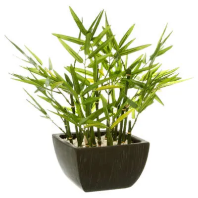 ATMOSPHERA Bambus u saksiji crne boje 35x33x33cm