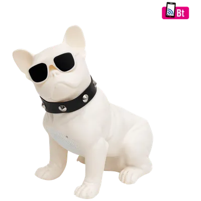 SAL Zvučnik bežični, Bluetooth, FM radio, USB, 5W - BT DOG, Bijeli