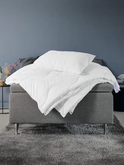 Aurora Jastuk sa vlaknom, 600g