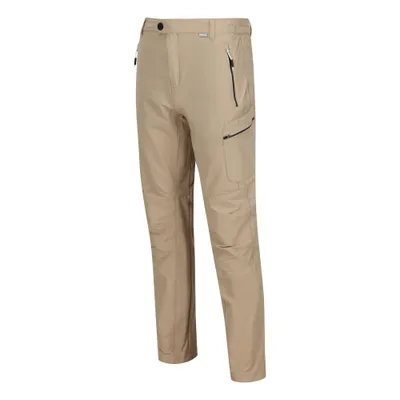 Regatta Outdoors Muške pantalone Highton Trousers, Sive