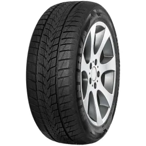 Minerva Zimska guma 265/45R20 108V XL Frostrack