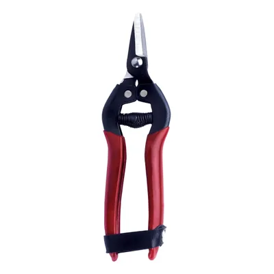 Falket 1600 Inox makaze za agrume sa oštricom (160 mm)