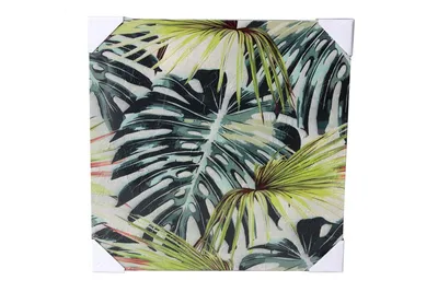 Dekorativna ukrasna slika filadendron 60 x 60 cm
