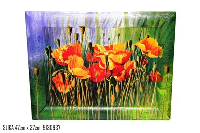 Dekorativna slika 47 x 37 cm