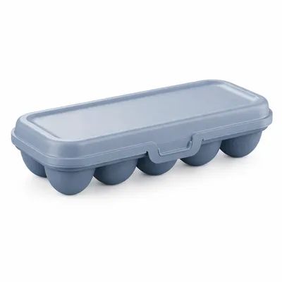 Kutija za jaja sa poklopcem - plastični organizator za 10 jaja