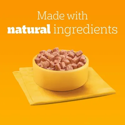 PEDIGREE Mega paket mokra hrana govedina i janjetina 24x100g