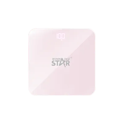 Winning Star Digitalna vaga ST-2441, osobna