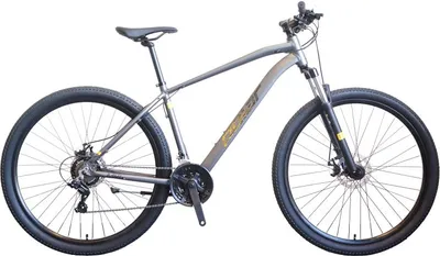 Polar muški bicikl MTB Mirage Sport urban, 29", Antracit