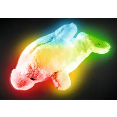 HOME Plišana LED noćna lampa delfin PD01/BL