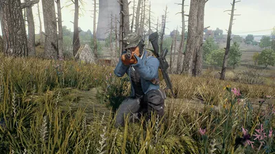 SONY Igra PS4 Playerunknowns Battlegrounds PUBG