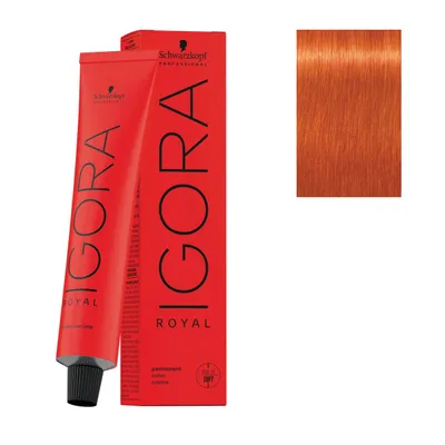 SCHWARZKOPF PROFESSIONAL Igora Royal Colo boja za kosu, 60ml, br.0-77