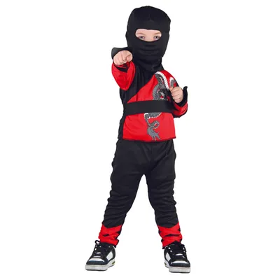 Kostim Dragon Ninja Junior 82761