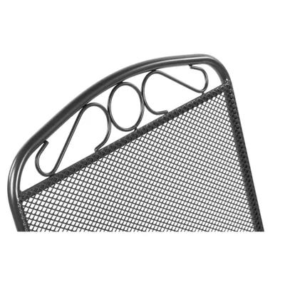 Fieldmann Vrtna žičana stolicaFDZN 5305, 56x69x93 cm, Srebrna