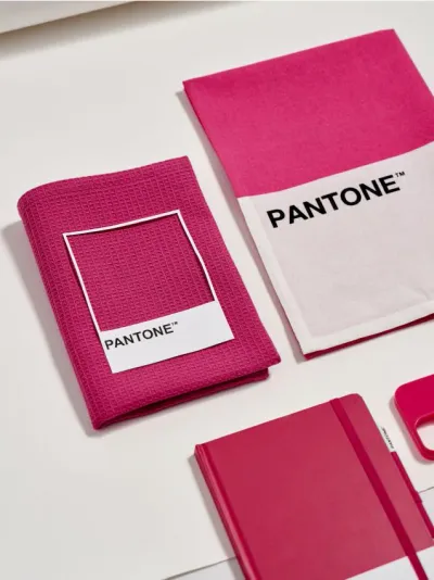 Komplet od 2 kuhinjske krpe Pantone