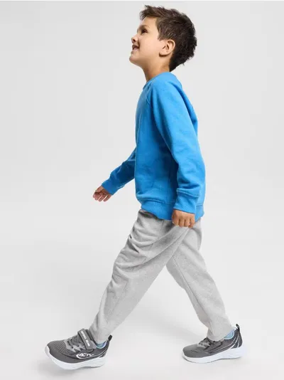Carrot fit trenerke