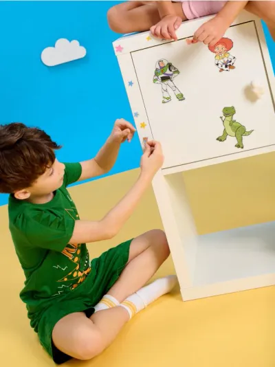 Zidne naljepnice 6 pack Toy Story