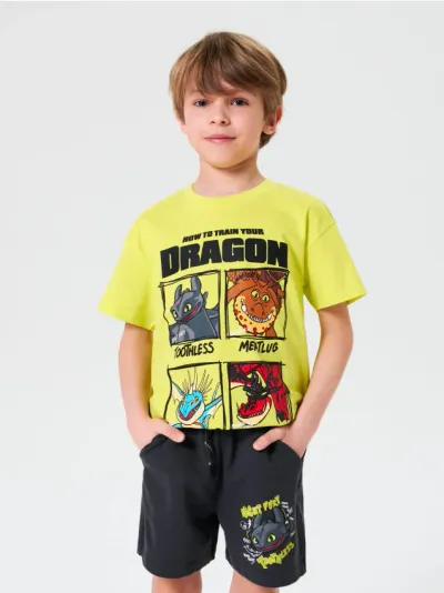 Šorc How to train your dragon