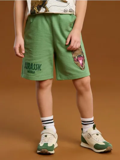 Šorc Jurassic World