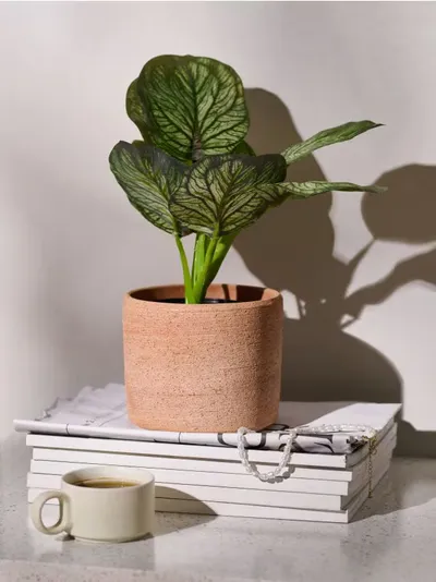 Umjetna dekorativna biljka Alocasia u saksiji
