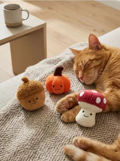 Igračke za mačku s jesenjim motivom 3 pack