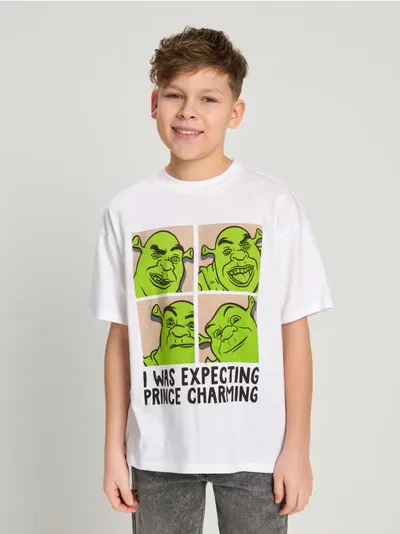 Boxy majica Shrek