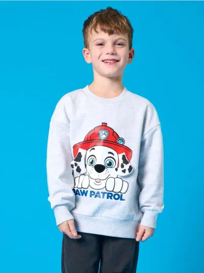Duks PAW Patrol