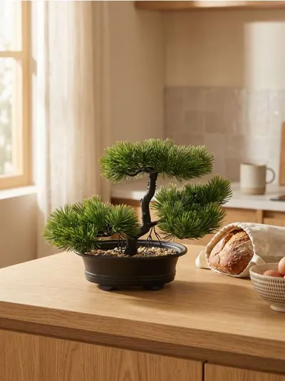 Dekorativna biljka – bonsai drvo
