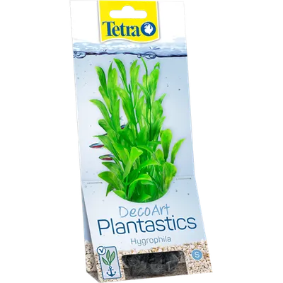 Tetra Hygrophila S
