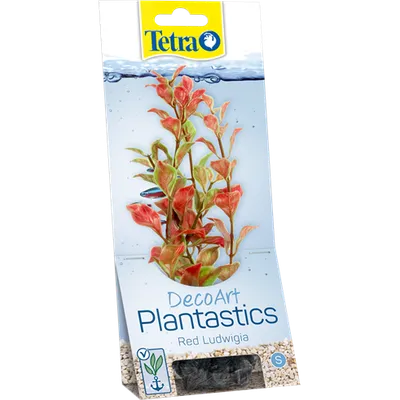 Tetra biljka Red Ludwigia