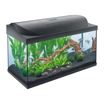 Tetra Starter Line LED Akvarij 105L