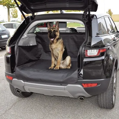 CW138 Navlaka za prtljažnik “Walky Trunk Cover”