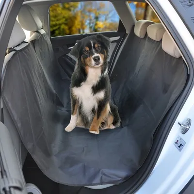 Zaštitna prostirka za auto Walky Simply