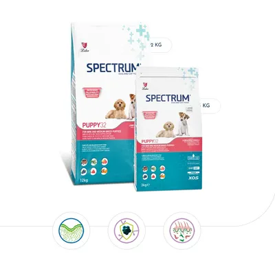 Spectrum piletina hrana za štence