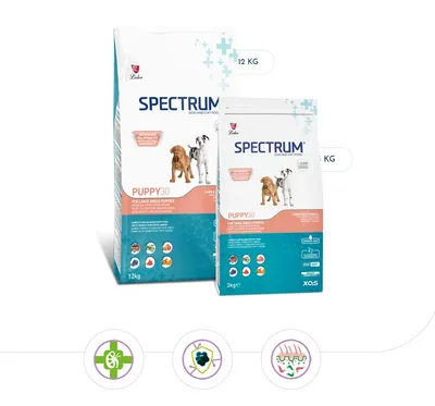 Spectrum piletina hrana za štence velikih pasmina 12 kg