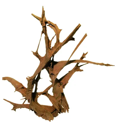 H 017 Mangrova XXL, pjeskarena 160 cm