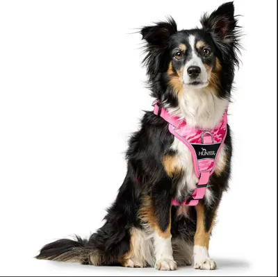 Hunter Divo Camouflage Pink uprtač