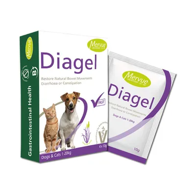 DIAGEL, prašak za regulaciju rada crijeva 10g