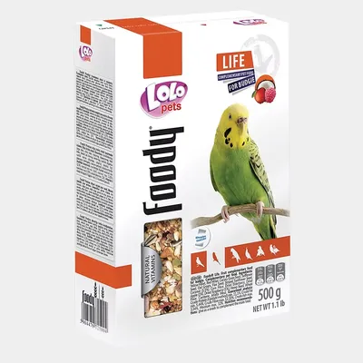 Foody Life hrana za tigrice, 500 g