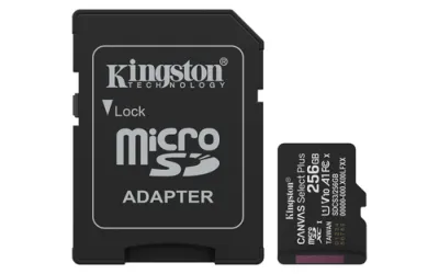Kingston microSD 256GB Class 10