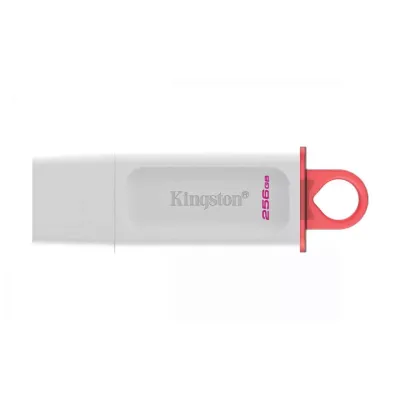 Kingston USB 256GB USB3.2 White