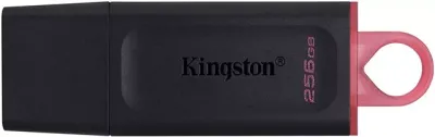 MEM UFD 256GB DTX KIN