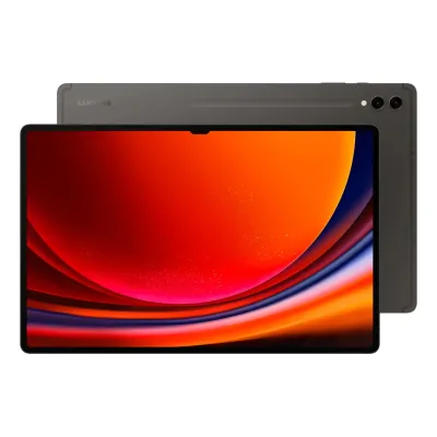 SAMSUNG Tablet S9 Ultra X910 12+256 Gray