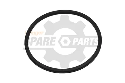 3WF-3.17.1-3 - Dihtung poklopca kanistera