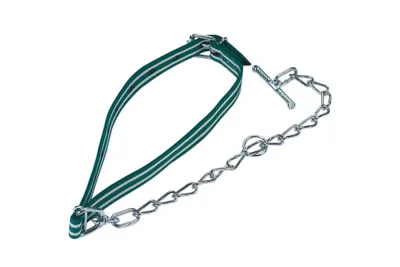 Okovratnik za telad Standard 85 x 4cm,