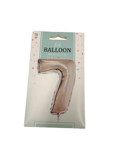Baloni  PC 22