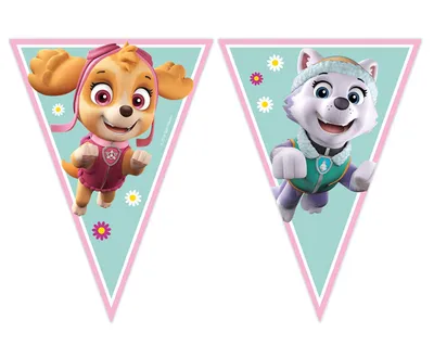 Banner paw patrol sky i everest
